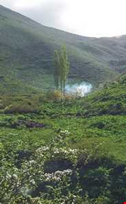 دشت جانستون