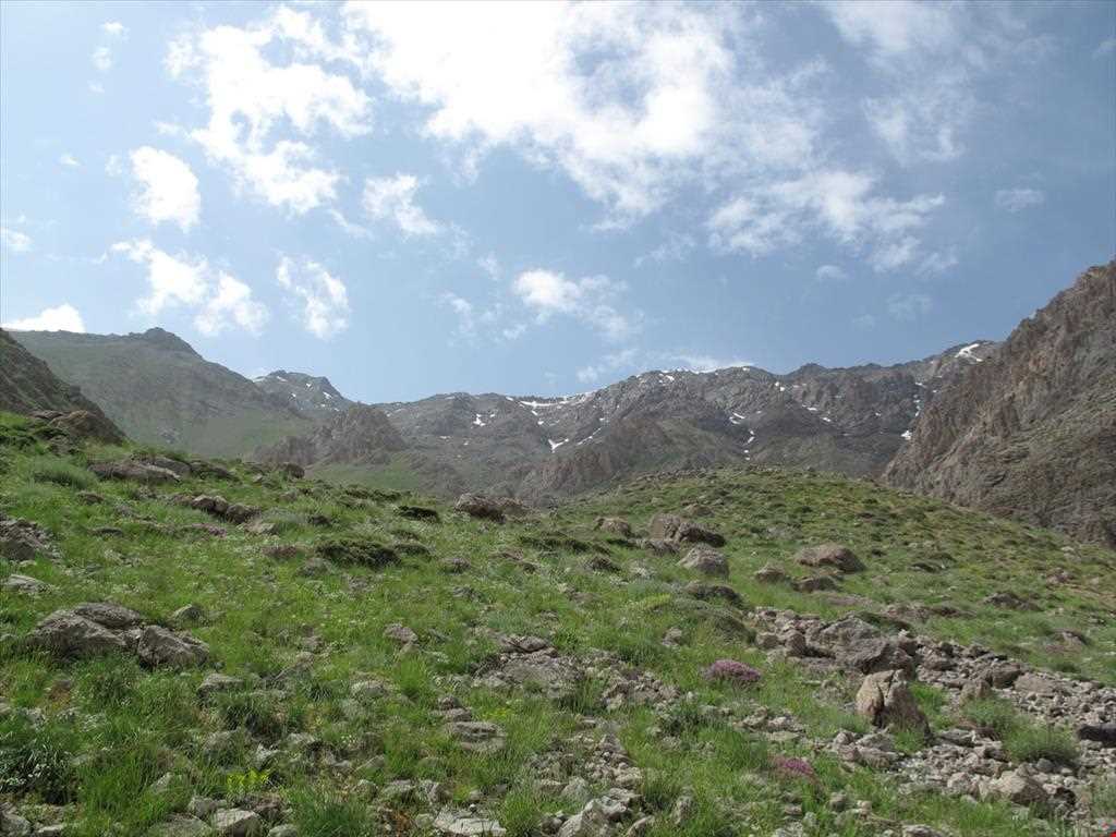 دشت جانستون