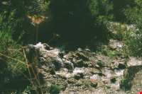 دشت جانستون