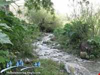 دشت جانستون