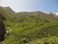 دشت جانستون