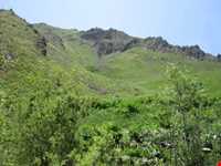 دشت جانستون