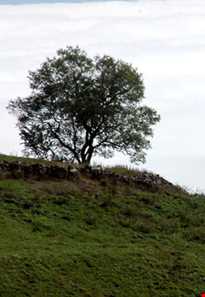 روستا و آبشار ناندل