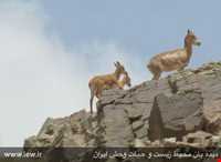 Dehaj Protected Area