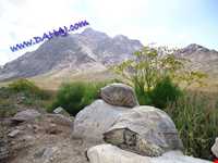 Dehaj Protected Area