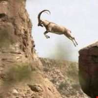 Dehaj Protected Area