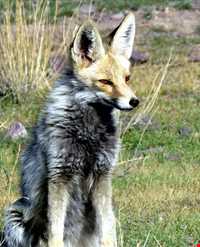 Dehaj Protected Area