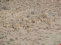 Dehaj Protected Area