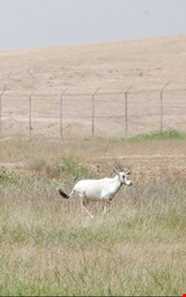 Dimeh Protected Area