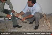 Dimeh Protected Area