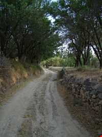 منزل تاریخی خاندان میرفخرایی