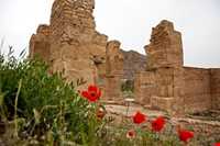 آتشکده آتشکوه محلات - مرکزی