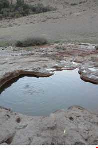 آب معدنی سرخ فریزهند