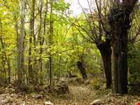 Sorkh Firzahand Mineral Water