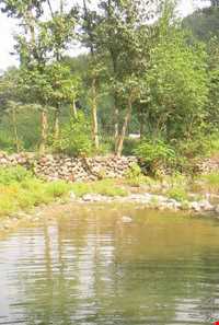 پارک جنگلی خرما