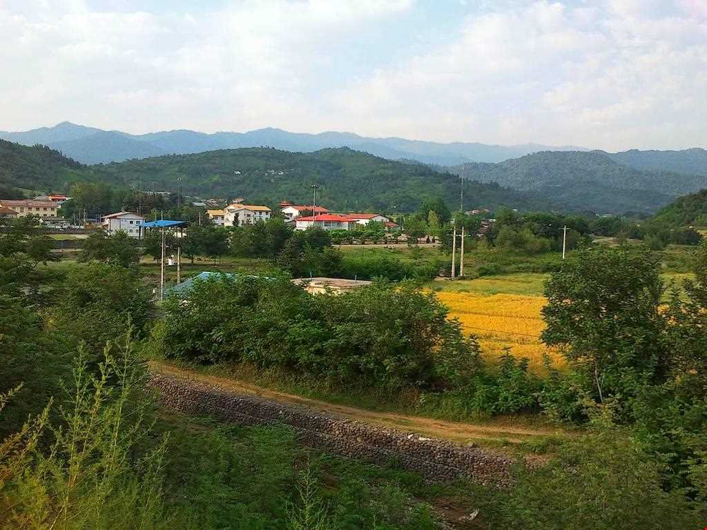 پارک جنگلی خرما