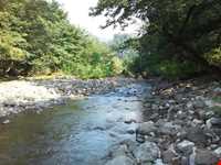 پارک جنگلی خرما