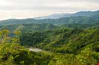 پارک جنگلی خرما