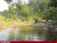 پارک جنگلی خرما