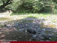 پارک جنگلی خرما