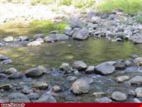 پارک جنگلی خرما