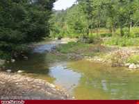 پارک جنگلی خرما