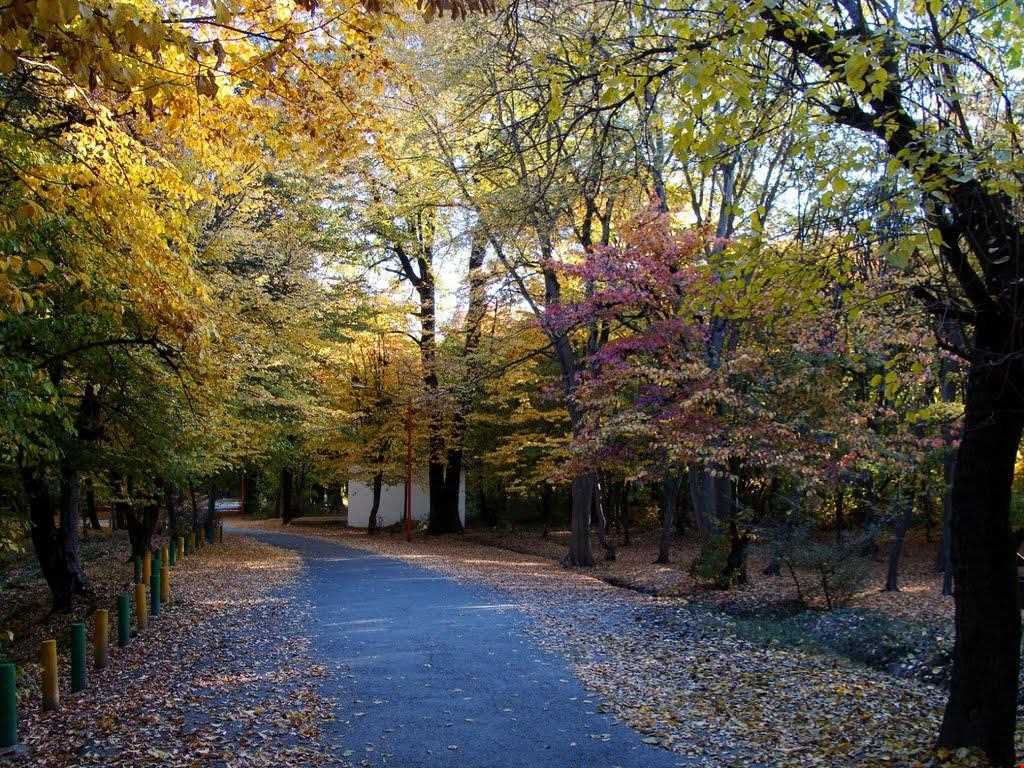 Ghorgh National Park