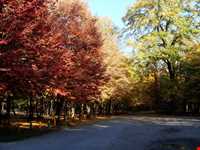 Ghorgh National Park