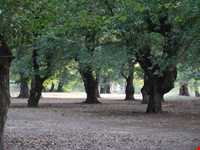 Ghorgh National Park