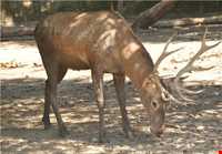 Ghorgh National Park