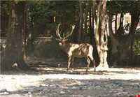 Ghorgh National Park