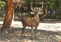 Ghorgh National Park