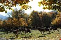 Ghorgh National Park