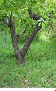 روستای هزاوه