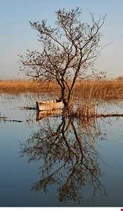 تالاب لنگور