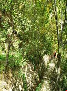 روستای رسنان