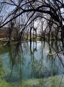 روستای چنارشرق