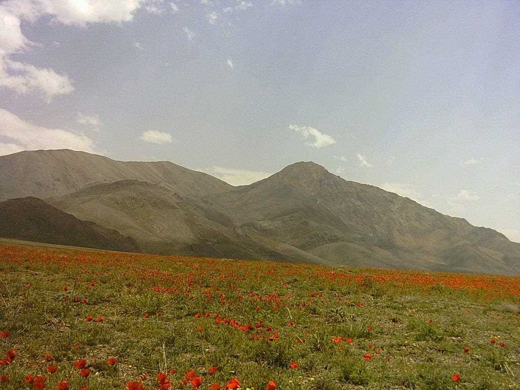 روستای چنارشرق