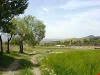 روستای چنارشرق