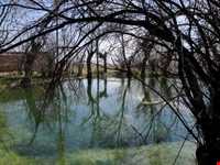 روستای چنارشرق