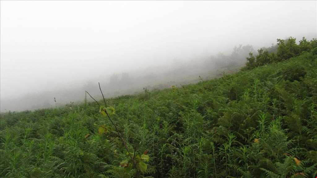 روستای لیما گوابر