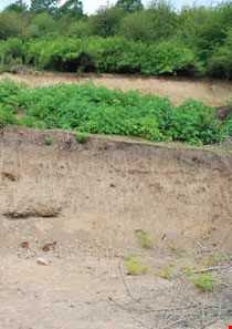 روستای اسکولک