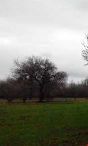 روستای گل چشمه ( قوزلو )