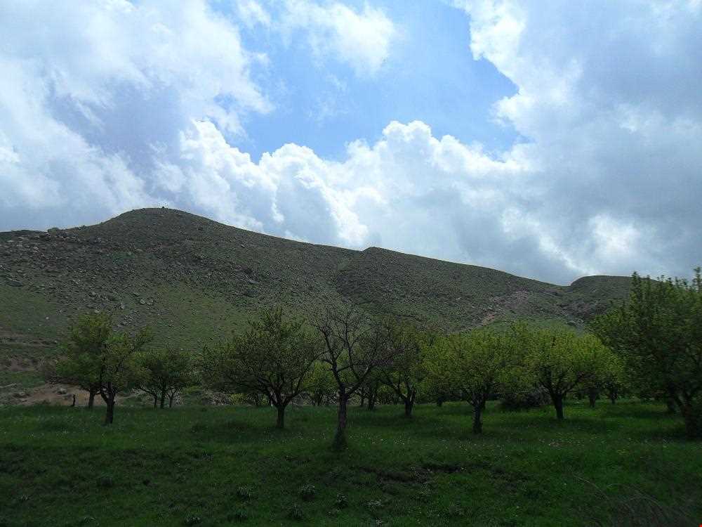 روستای گل چشمه ( قوزلو )