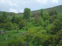 روستای گل چشمه ( قوزلو )