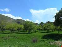 روستای گل چشمه ( قوزلو )