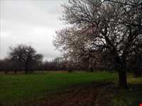 روستای گل چشمه ( قوزلو )