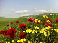 روستای گل چشمه ( قوزلو )