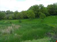 روستای گل چشمه ( قوزلو )