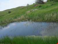 روستای گل چشمه ( قوزلو )